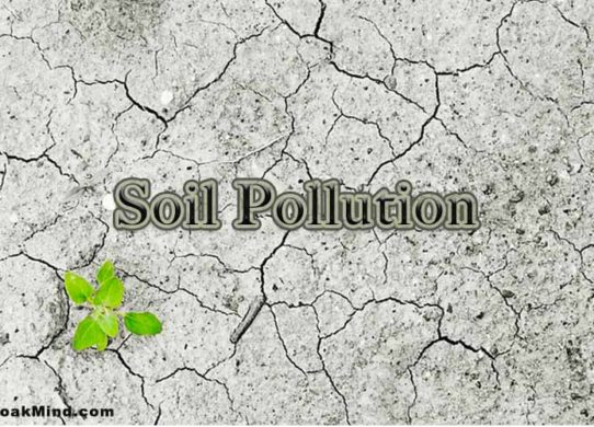 Soil Pollution Introduction, Causes, Effects and Control Measures