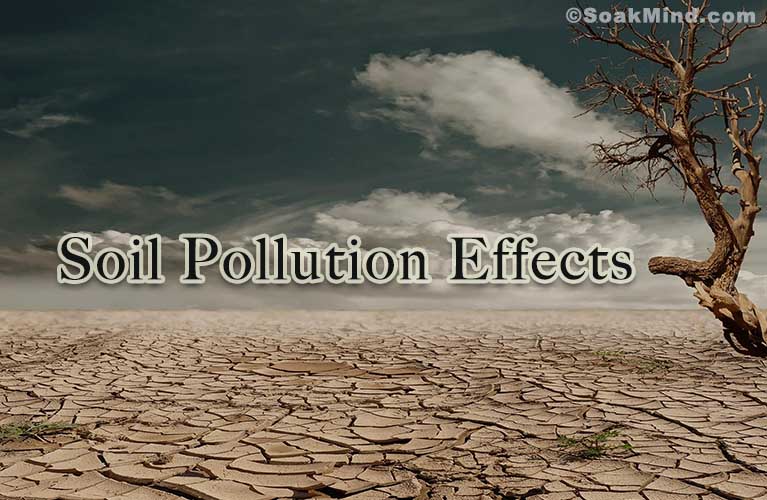 Soil Pollution Effects
