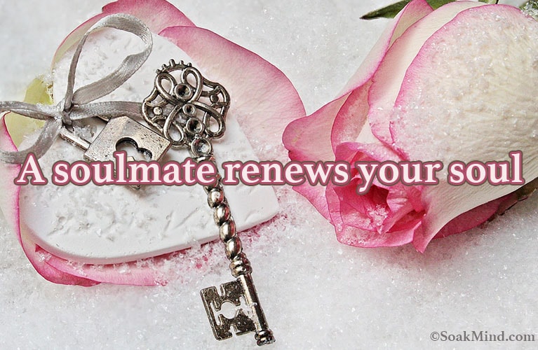 a soulmate renews your soul